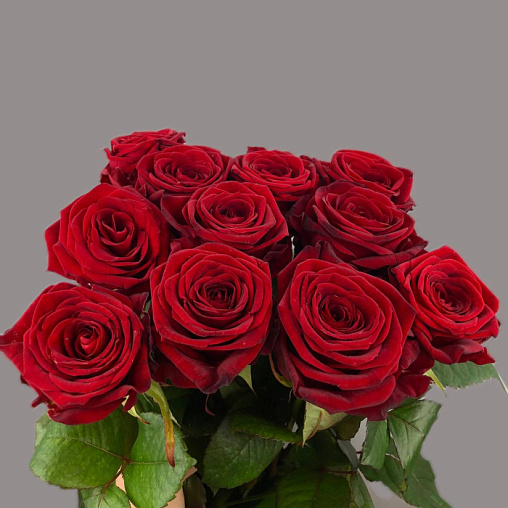 Роза Ред Наоми 80